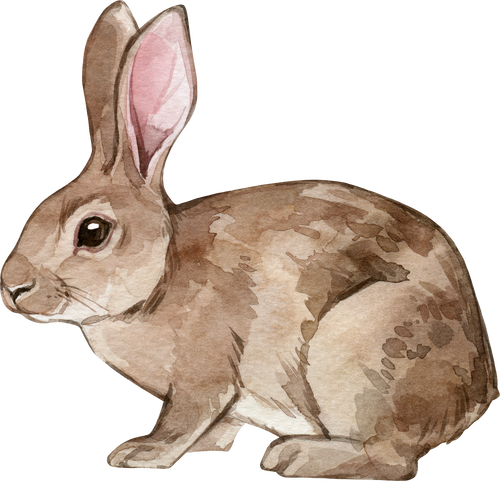 Watercolor illustration Farm animals Rabbit